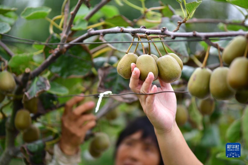 博狗游戏注
